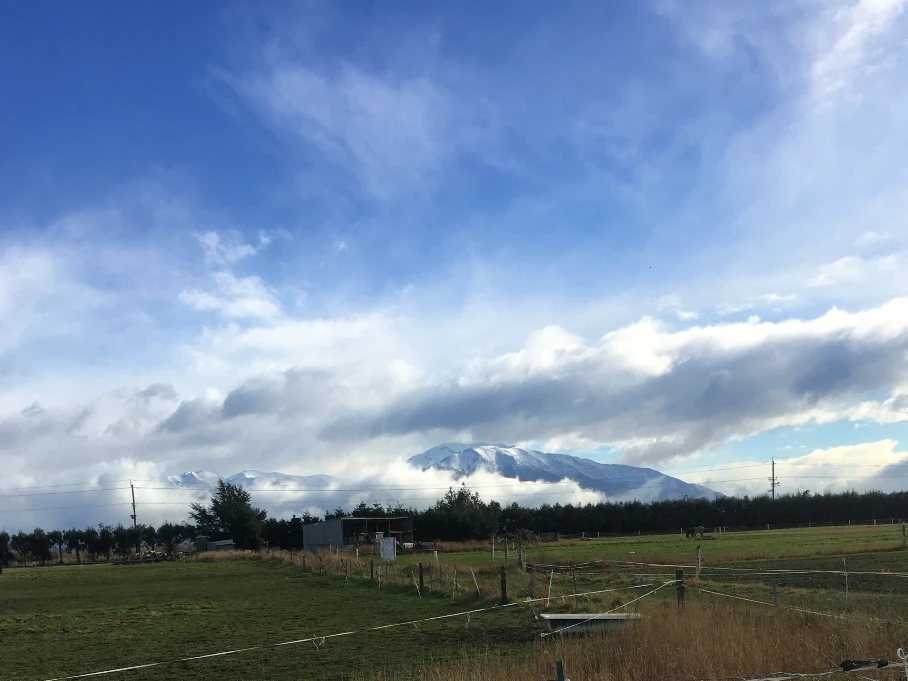Mid Canterbury paddock