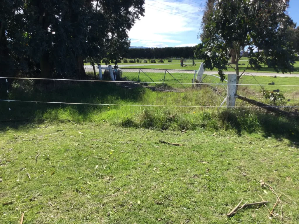 Paddock gate Mid-Canterbury