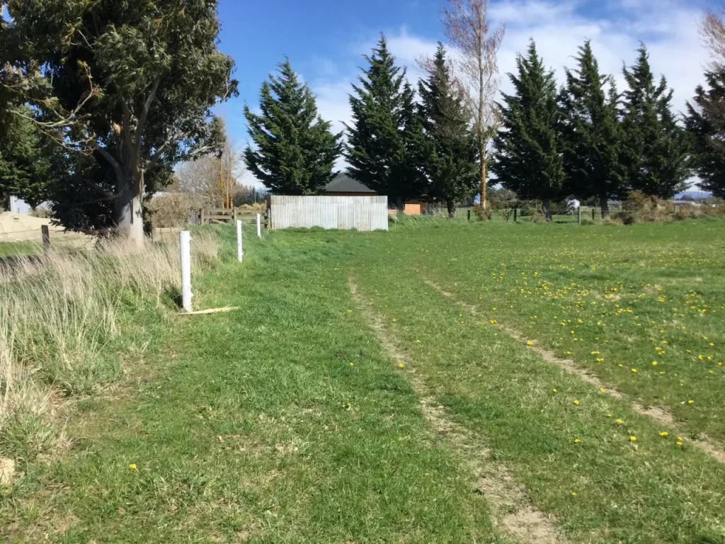 Grazing paddock for horses